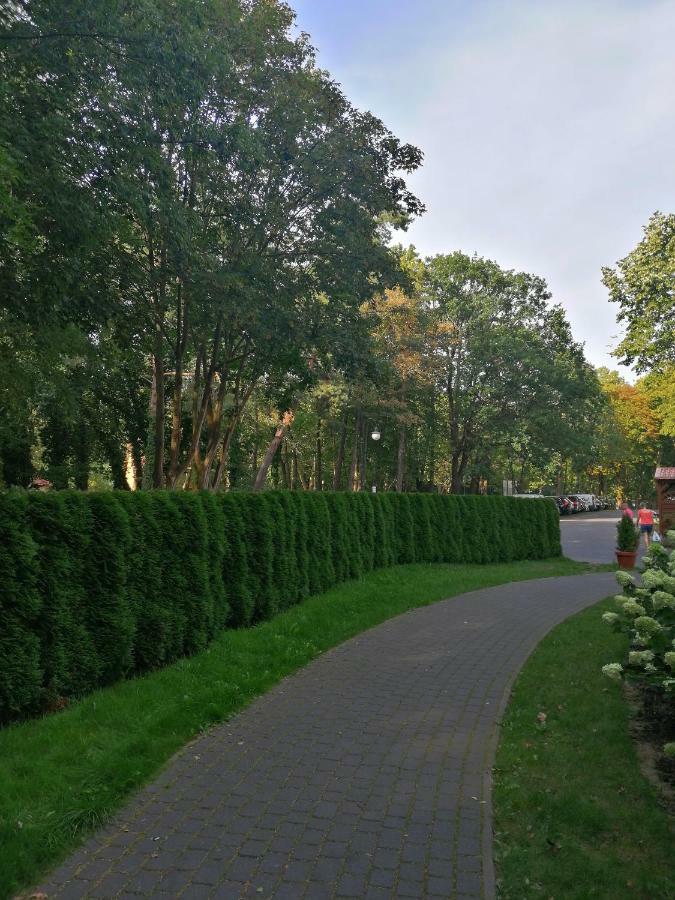Apartament Mateusz ชวีโนวิชแจ ภายนอก รูปภาพ